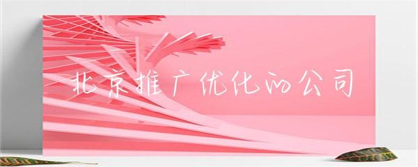 北京推廣優(yōu)化的公司